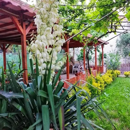 Kilic Motel